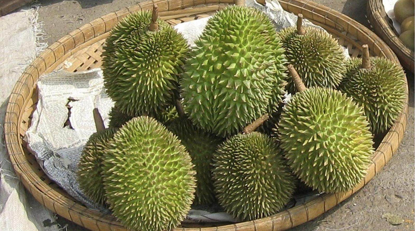 Whole green durians in a woven basket at a Thai market, the fruit called ทุเรียน in Thai script