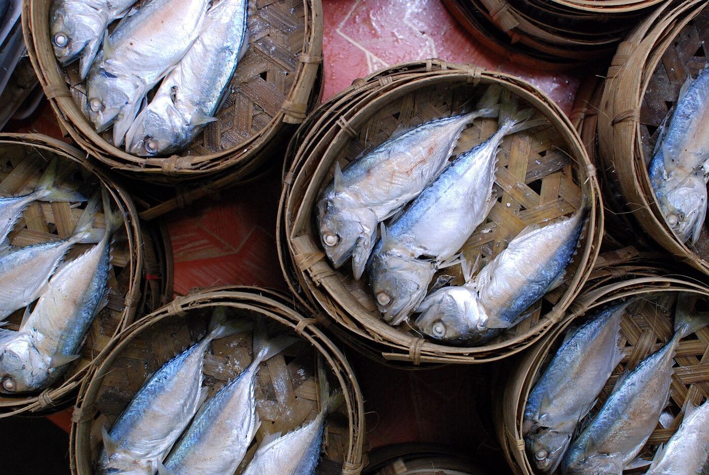 Steamed Thai short mackerel, pla thu, packed in round woven bamboo baskets for sale at Thanin market in Chiang Mai, Thailand