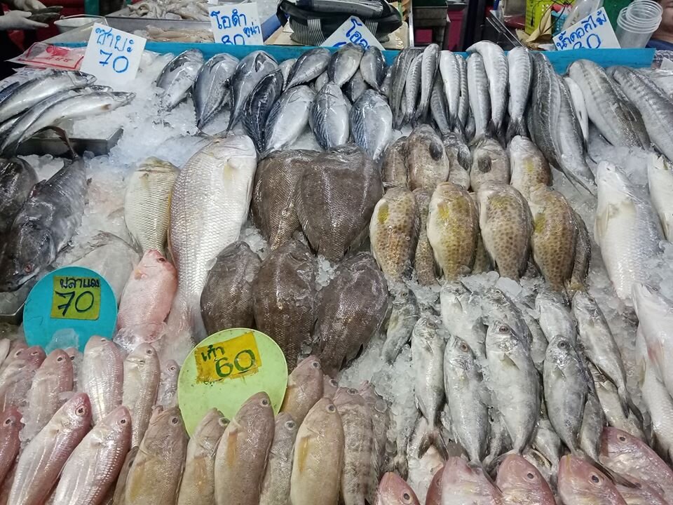 Fresh fish displayed on ice at a Thai market with handwritten Thai price tags reading pla daeng 70 and kao 60 baht