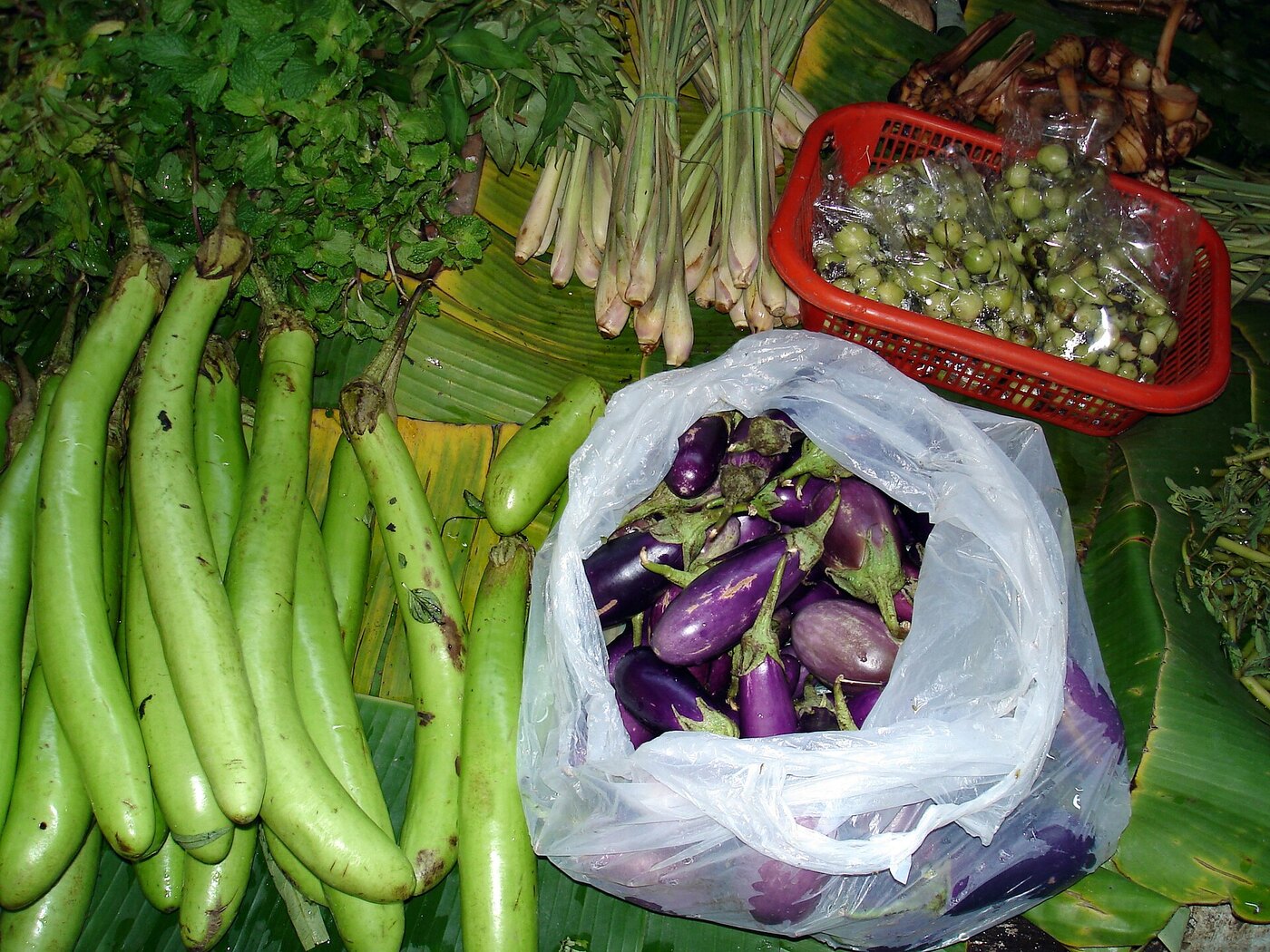 Long green Thai eggplant lemongrass galangal and pea aubergines on banana leaves at a vegetable market in Chiang Mai Thailand for learning Thai vocabulary