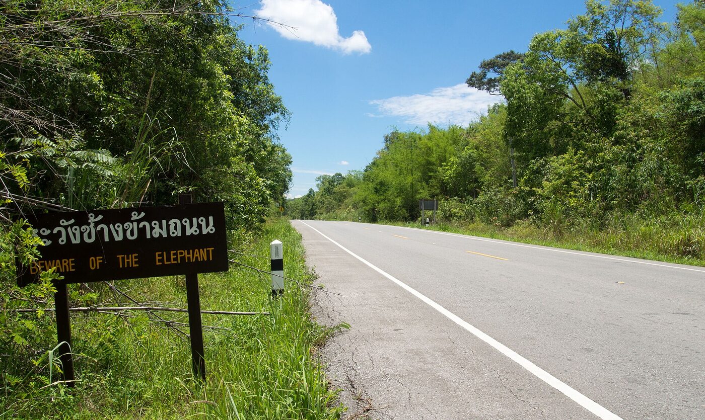 Bilingual Thai and English road sign reading rawang chang kham thanon beware of the elephant beside Route 12 in Nam Nao National Park Thailand